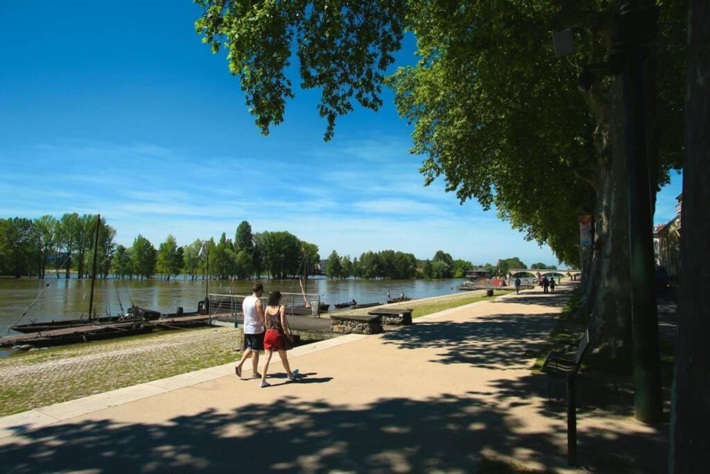 Apartamento L'Authentique - Le Poirier Orléans Exterior foto