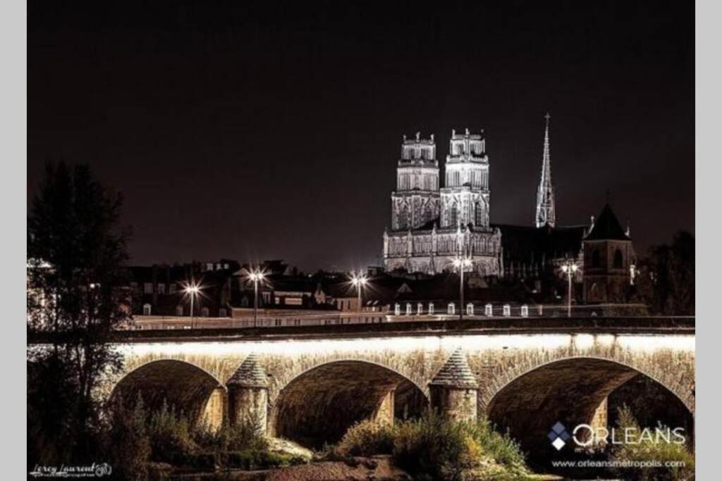 Apartamento L'Authentique - Le Poirier Orléans Exterior foto